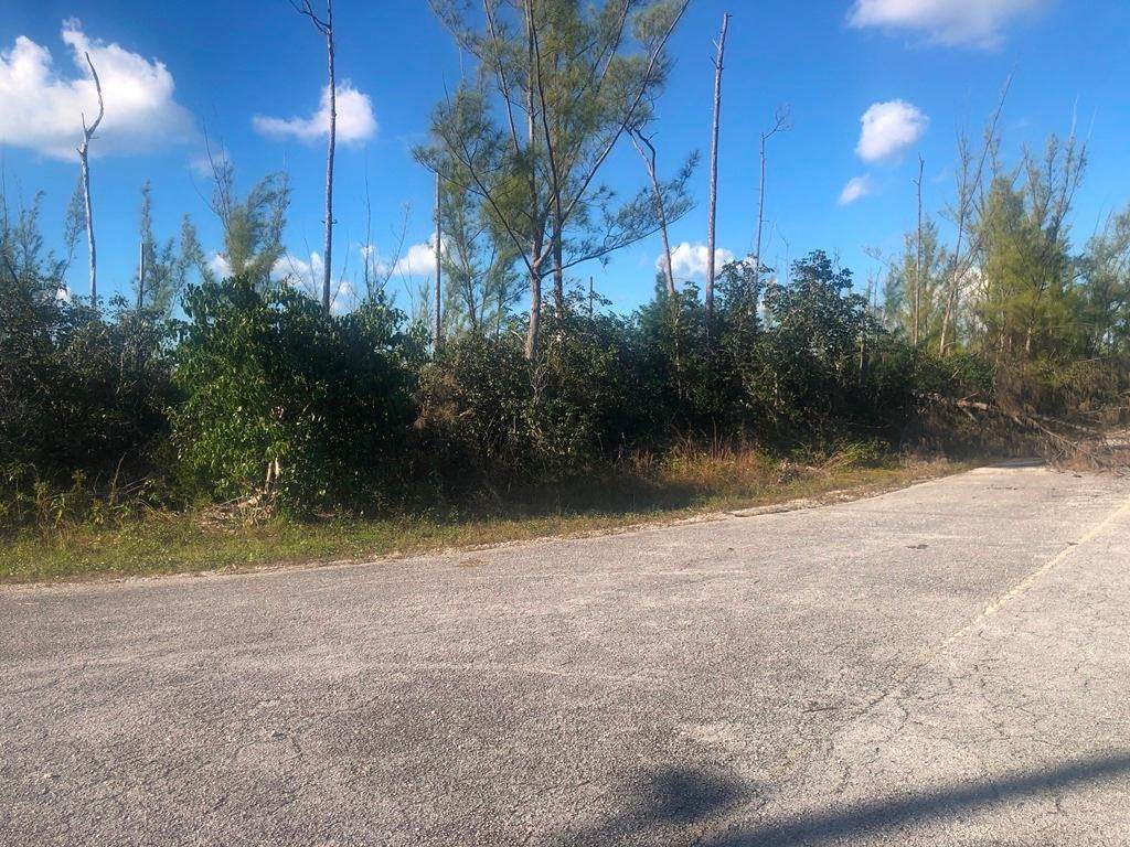 4. Land for Sale at Sentinel Bay Subdivision, Freeport and Grand Bahama Bahamas