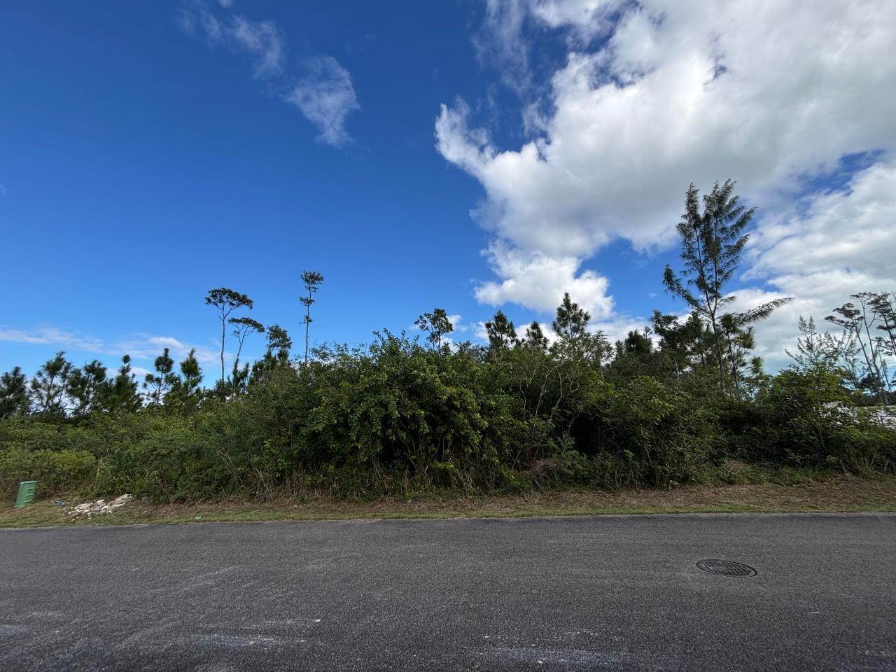 14. Land for Sale at South Ocean, Nassau and Paradise Island Bahamas