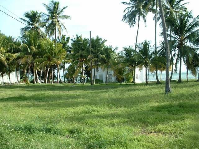 5. Land for Sale at Other Andros, Andros Bahamas
