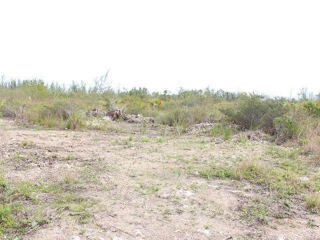 1. Land for Sale at Other New Providence, New Providence Bahamas
