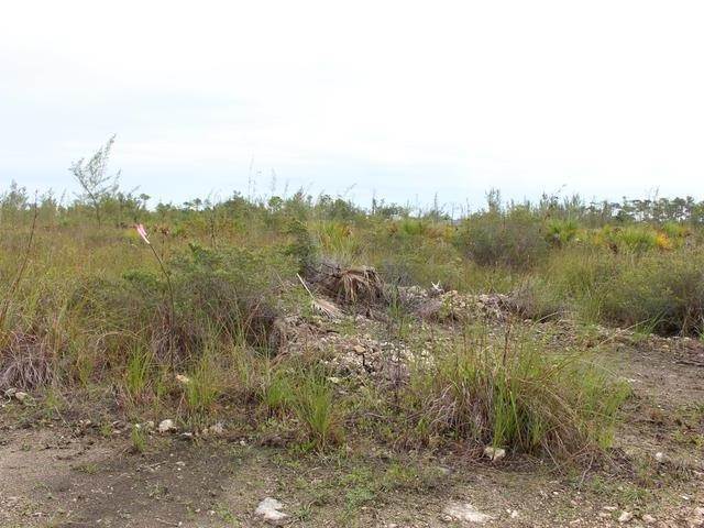 3. Land for Sale at Other New Providence, New Providence Bahamas